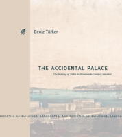 Cover for The Accidental Palace